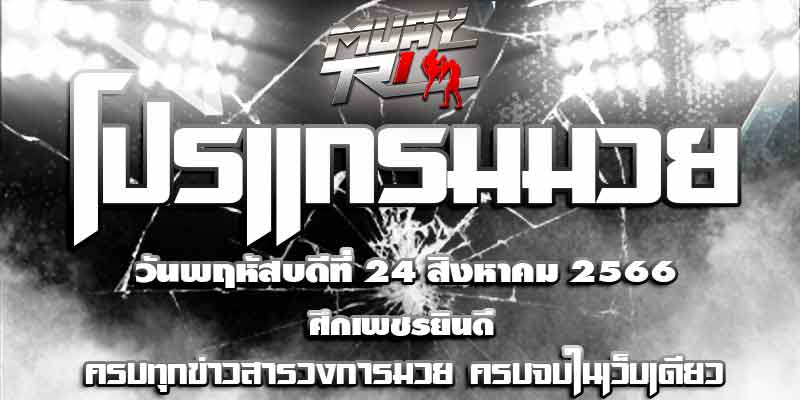 โปรแกรมมวย
