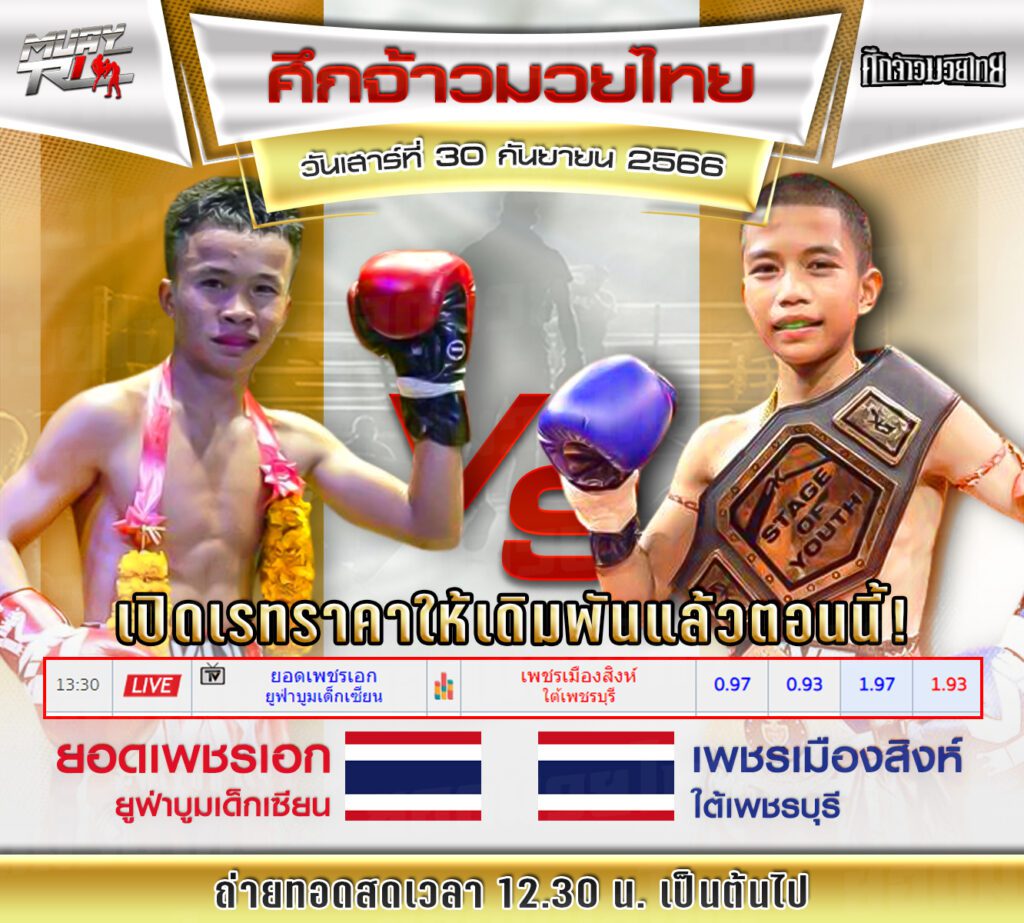 เรทมวยเดี่ยว