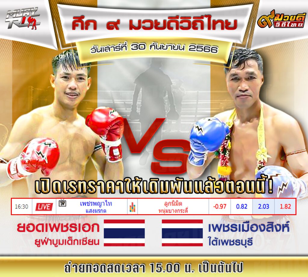 เรทมวยเดี่ยว